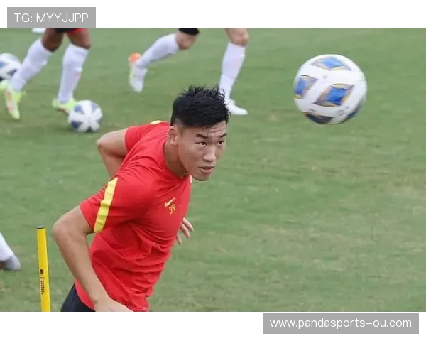 世预赛关键球员伤停名单揭晓，各队备战面临严峻考验